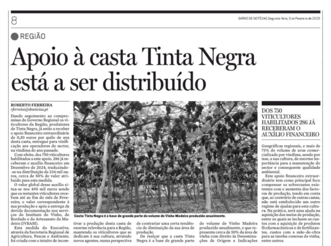 Apoio à casta Tinta Negra está a ser distribuído