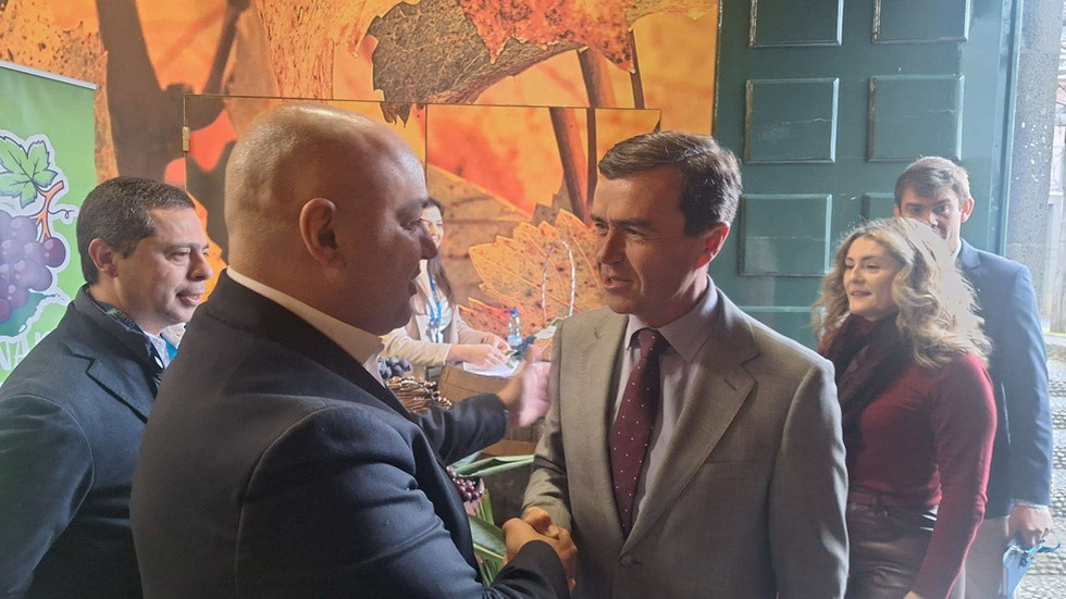 Apoio à casta Boal sobe para 255 euros por tonelada