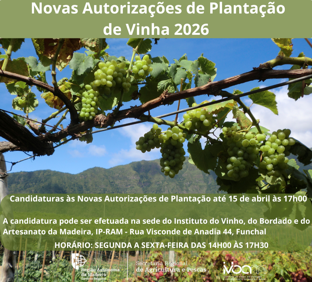 Novas Autorizações de Plantação de Vinha 2026