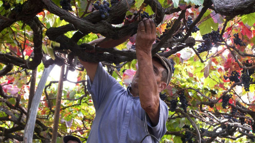 IVBAM alerts winegrowers to access community funds