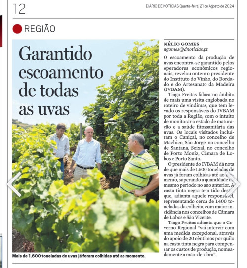 Garantido o escoamento de todas as uvas da vindima de 2024