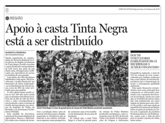 Apoio à casta Tinta Negra está a ser distribuído